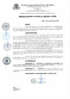 Vista preliminar de documento Resolucion_de_Alcaldia_N_308_2021_A_MPR.pdf