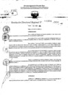 Vista preliminar de documento RDR 11494-2024