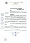 Vista preliminar de documento Resolucion_de_Alcaldia_N_133_2020_A_MPR.pdf