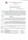 Vista preliminar de documento Resolucion_de_Alcaldia_N_352_2020_A_MPR.pdf