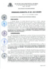 Vista preliminar de documento ORDENANZA_MUNICIPAL_21_2022_CM_MPR.pdf