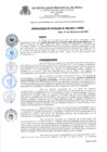 Vista preliminar de documento RESOLUCION_ALCALDIA_295_2021_A_MPR.pdf