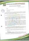 Vista preliminar de documento RESOLUCION DE ALCALDIA N°010 CORESEC