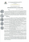 Vista preliminar de documento Resolucion_de_Alcaldia_N_334_2020_A_MPR.pdf