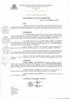 Vista preliminar de documento Resolucion_de_Alcaldia_N_345_2020_A_MPR.pdf