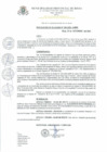 Vista preliminar de documento Resolucion_de_Alcaldia_N_354_2020_A_MPR.pdf