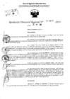 Vista preliminar de documento RDR 11497-2024
