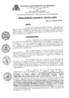 Vista preliminar de documento RESOLUCION_ALCALDIA_N_196_2021_A_MPR.pdf