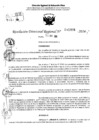 Vista preliminar de documento RDR 11498-2024