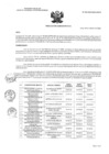Vista preliminar de documento RA N°020-2025-OEA-HNCH