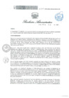 Vista preliminar de documento RA 011 OEA 2025