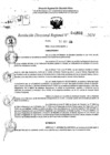 Vista preliminar de documento RDR 11502-2024