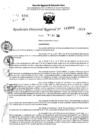 Vista preliminar de documento RDR 11503-2024