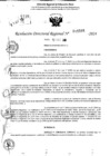 Vista preliminar de documento RDR 11505-2024