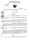 Vista preliminar de documento RDR 11506-2024