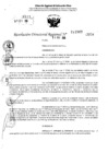 Vista preliminar de documento RDR 11507-2024