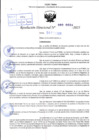 Vista preliminar de documento R.D N° 088-2025