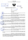Vista preliminar de documento R.D N° 091-2025