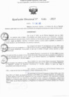 Vista preliminar de documento RD N° 95-2025