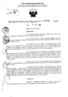 Vista preliminar de documento RDR 11511-2024