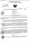 Vista preliminar de documento RDR 11514-2024