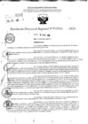 Vista preliminar de documento RDR 11515-2024