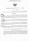 Vista preliminar de documento RD N° 101-2025