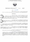 Vista preliminar de documento RD N° 133-2025