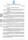 Vista preliminar de documento ORD_004-2025-MPT