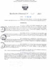 Vista preliminar de documento RD N° 137-2025