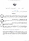 Vista preliminar de documento RD N° 142-2025