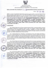 Vista preliminar de documento RDR N°115-2025-07-02-2025