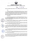 Vista preliminar de documento RDR N°117-2025-07-02-2025