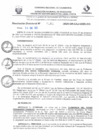 Vista preliminar de documento RD N° 161-2025