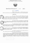 Vista preliminar de documento RD N° 175-2025