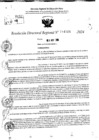 Vista preliminar de documento RDR 11516-2024