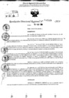 Vista preliminar de documento RDR 11519-2024