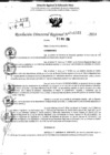 Vista preliminar de documento RDR 11521-2024