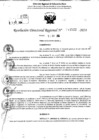 Vista preliminar de documento RDR 11522-2024