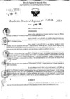Vista preliminar de documento RDR 11523-2024