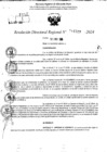 Vista preliminar de documento RDR 11527-2024