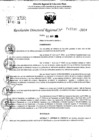 Vista preliminar de documento RDR 11530-2024