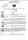 Vista preliminar de documento RDR 11531-2024