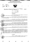 Vista preliminar de documento RDR 11533-2024