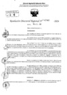 Vista preliminar de documento RDR 11540-2024