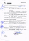 Vista preliminar de documento RDR 11545-2024