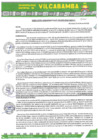 Vista preliminar de documento RADMIN 019 2025
