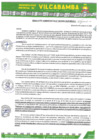 Vista preliminar de documento RADMIN 022 2025