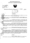 Vista preliminar de documento RDR 11548-2024