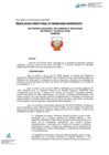 Vista preliminar de documento RESOLUCION DIRECTORAL-000028-2025-DFS